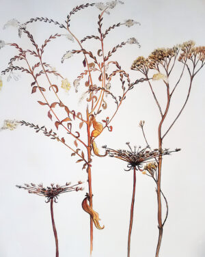 “Winter Weeds” – Archival Print