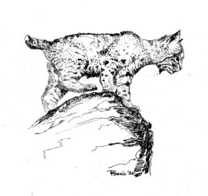 “Predator” – Archival Print