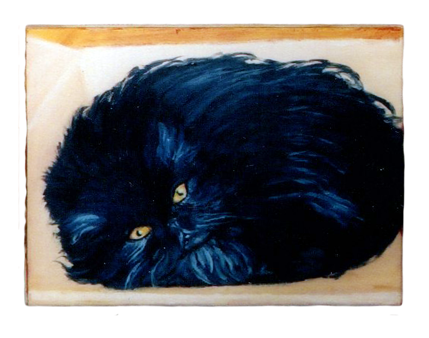 "Cat in a Box" Acrylic on a wood panel by Peter Koenig